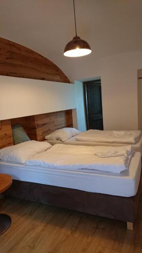 Hotel Dv?r Pec�nov