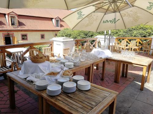 Hotel Dv?r Pec�nov