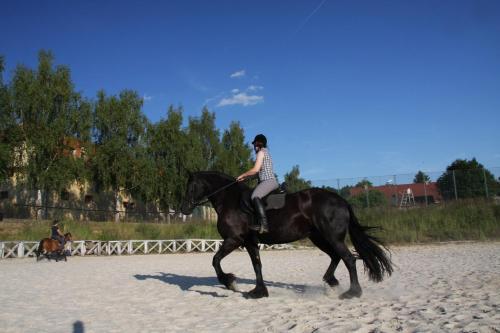 Hotel Dv?r Pec�nov
