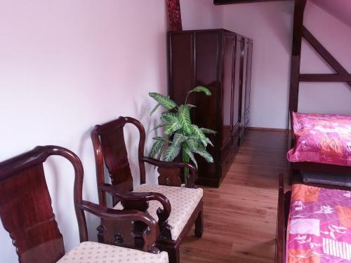 Apartamentos House George