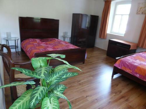 Apartamentos House George