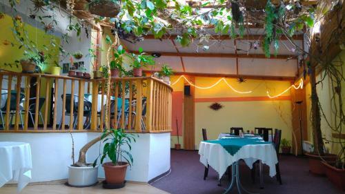 Hotel Cb Royal