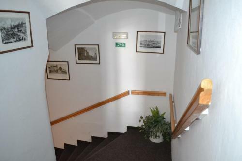 Hostal Zelena Ratolest