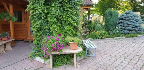 Hostal Pension Miltom