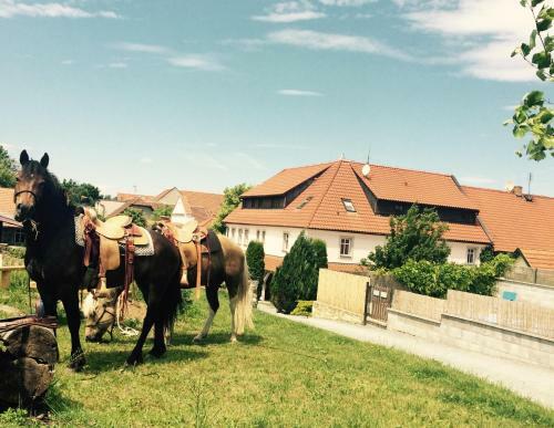 Hostal Penzion V Pol�ch