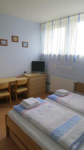 Hostal Penzion U Splavu