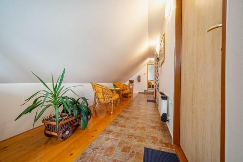 Hostal Penzion U Kostela