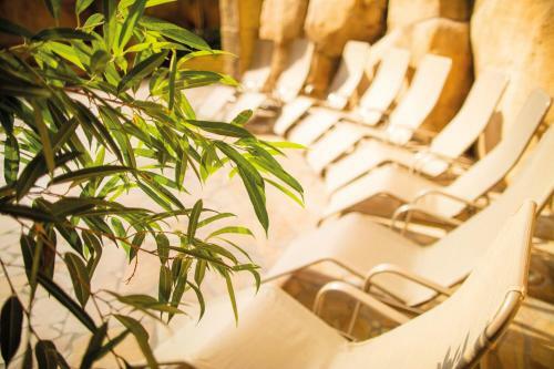 Tropical Islands Campingplatz