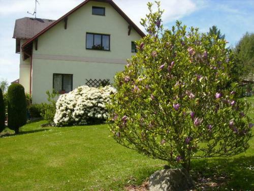 Apartamentos Pension U Josefa
