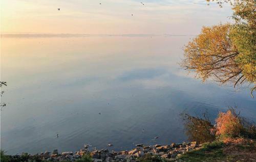 Nice Home In Lembruch/d�mmer See W/ Sauna And 2 Bedrooms
