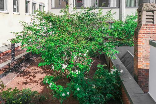 Apartamento Designer Hostel (2b)
