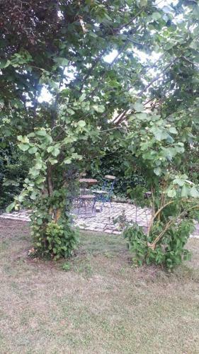 Hostal Pension Ba-bett's