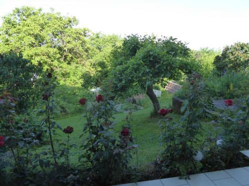 Apartamento Ferienwohnung Dora 1