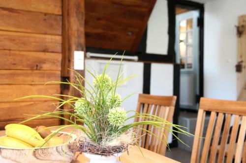 Apartamento Xavers Ranch