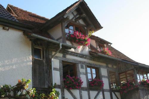 Bed & Breakfast Hotel G�stehaus Theresia Garni