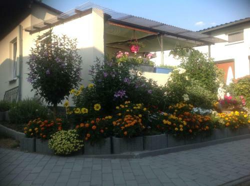 Apartamento Has Und Igel