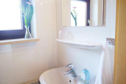 Bed & Breakfast Pension Tanne