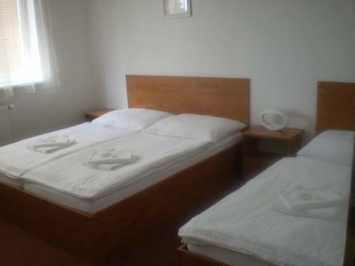 Hotel Olympionik