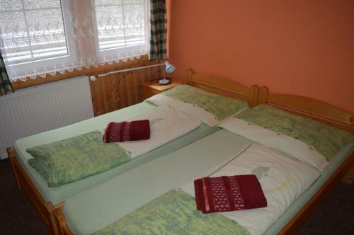 Hostal Penzion Certice
