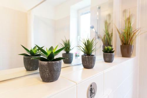Apartamento Ferienwohnung An Der Salamanderburg