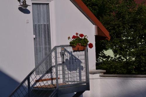 Apartman75