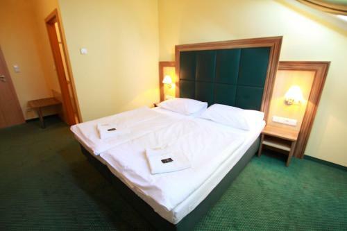 Hotel U Divadla