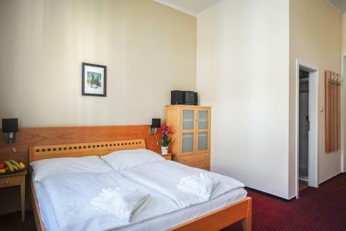 Hostal Penzion U Salzmannu
