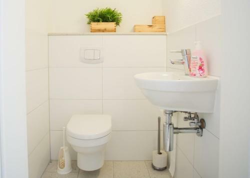 Apartment - Im Hohlen Seifen 10-l Winterberg