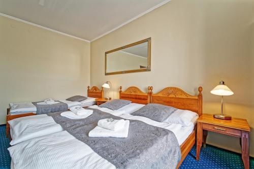 Hotel Napoleon Austerlitz