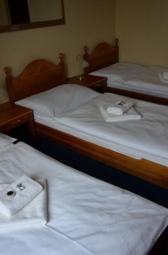 Hotel Napoleon Austerlitz