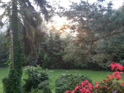 Hostal Villa Blanka