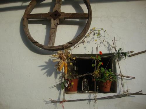 Hostal Petrovick� Ml�n