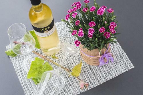 Hotel Ellenzer Goldb�umchen