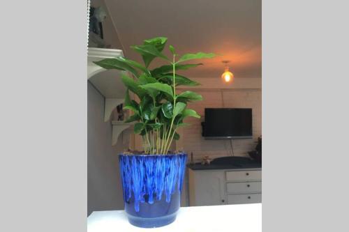 Apartamento Gallerihuset