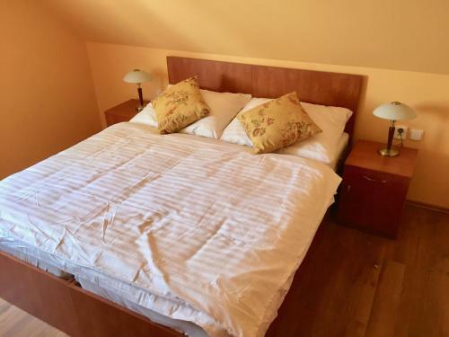 Hostal Penzion U Golema