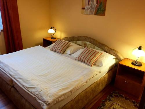 Hostal Penzion U Golema