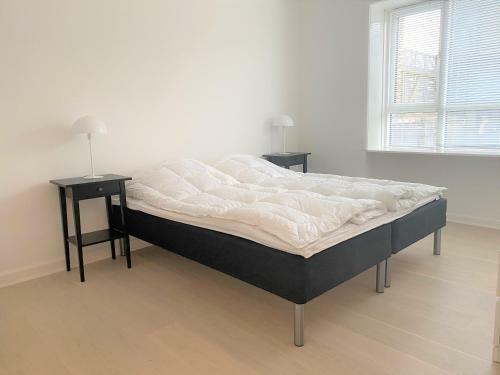 Spacious Apartment In The Heart Of Roskilde