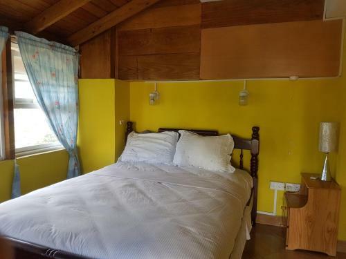 Apartamento Coco Mango Suites & Caf�
