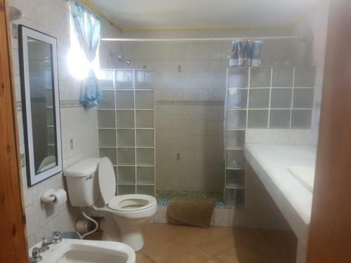 Apartamento Coco Mango Suites & Caf�