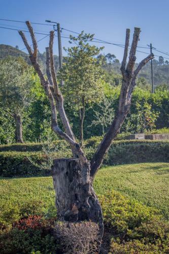 Agroturismo Quinta Da Eira Do Sol
