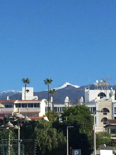 Go2tenerife Apart'gecko Extraordinary Sea View