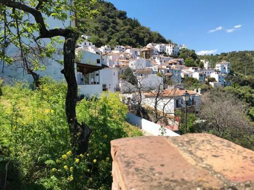 House With 3 Bedrooms In Benalauria With Wifi
