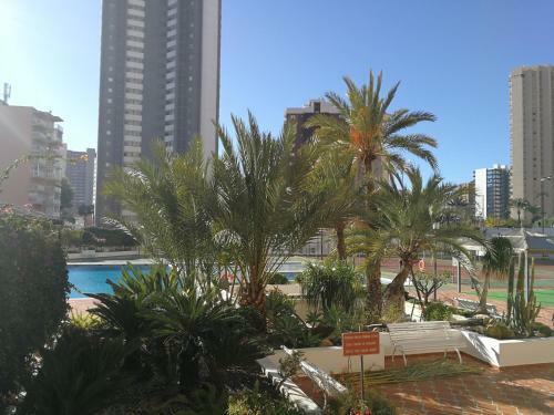 Apartamento Benidorm Levante