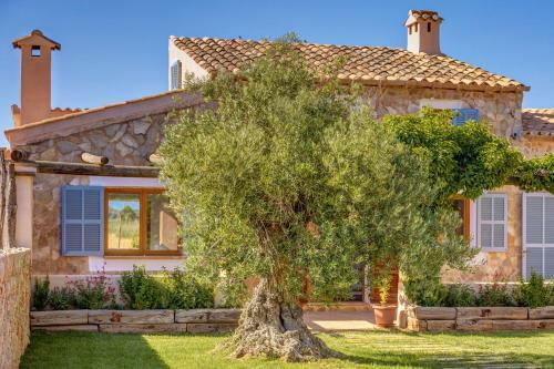 Villa Sa Vinya Jove