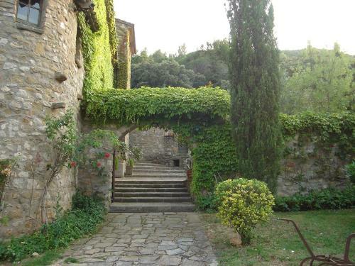Salvanera