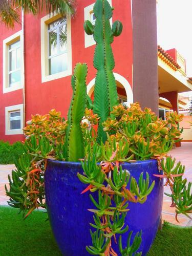 Villa Casa Viera
