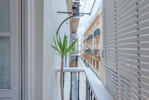 Apartamento Alojamientos Cadiz Sol 1 Izquierda