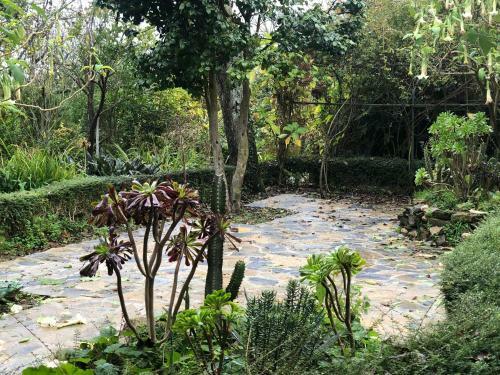 Casa Do Bosque