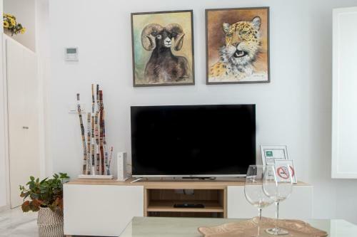 Apartamento Animalia