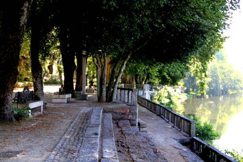 Albergue Albor